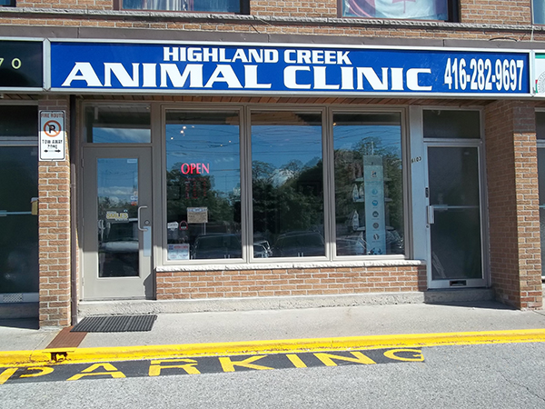 highland avenue animal hospital