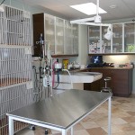 pets treatment area at Highland Creek Animal Clinic